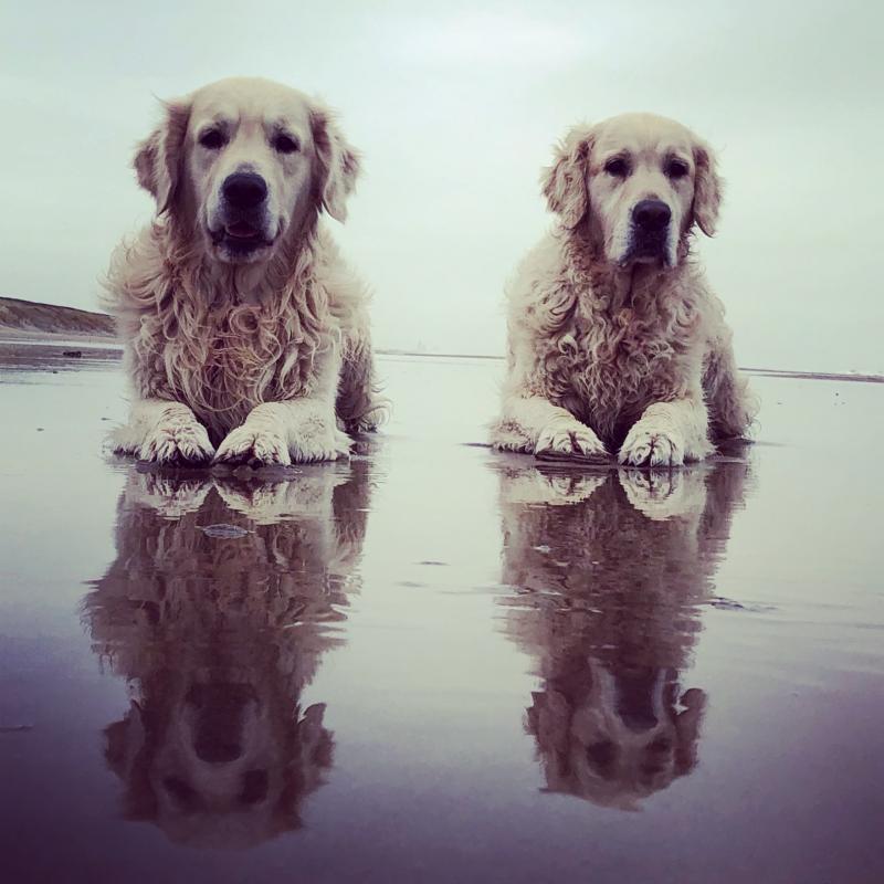 Max met zijn broer Boy